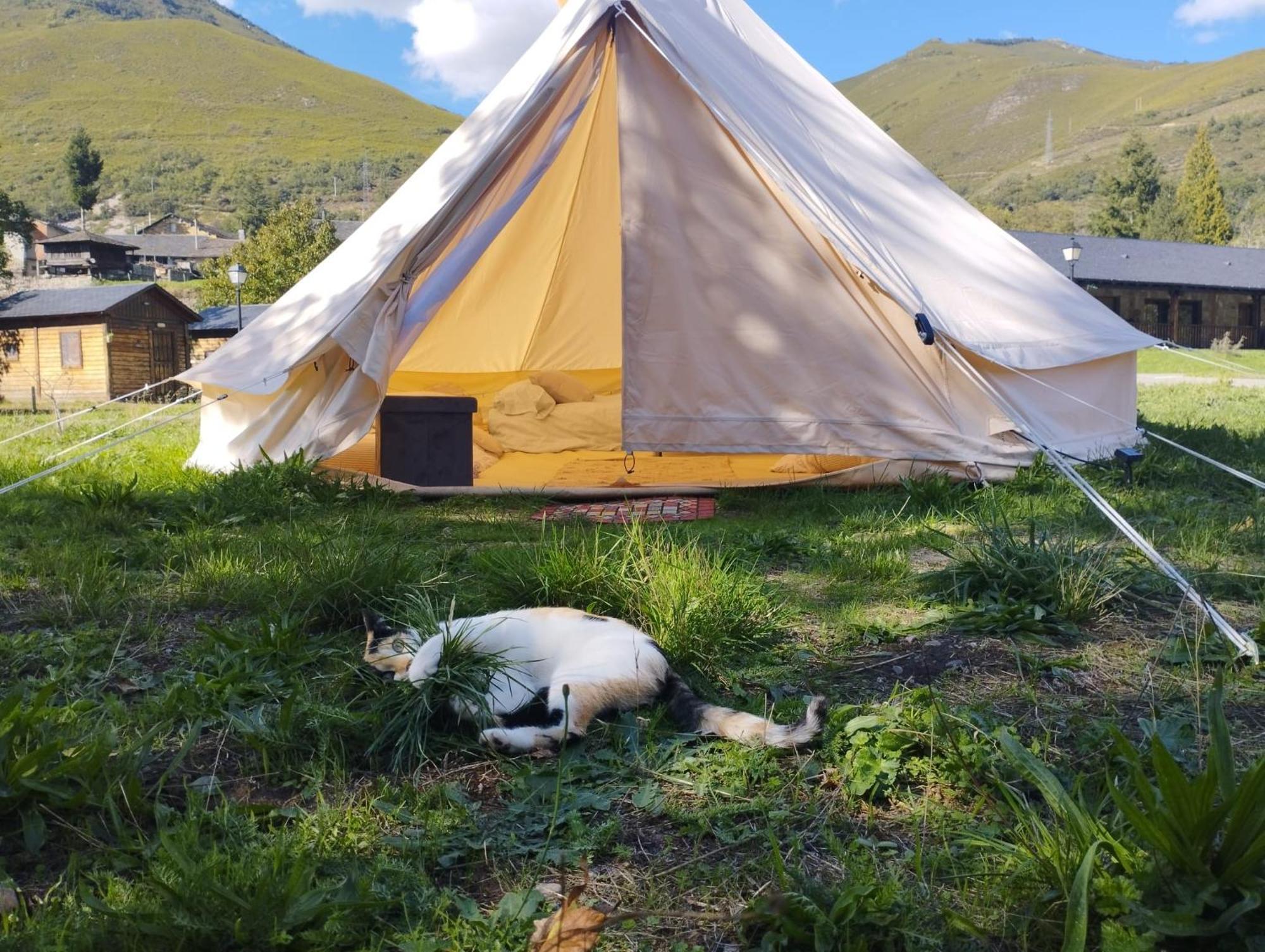 Camping La Zarapica - Palacios Del Sil Extérieur photo